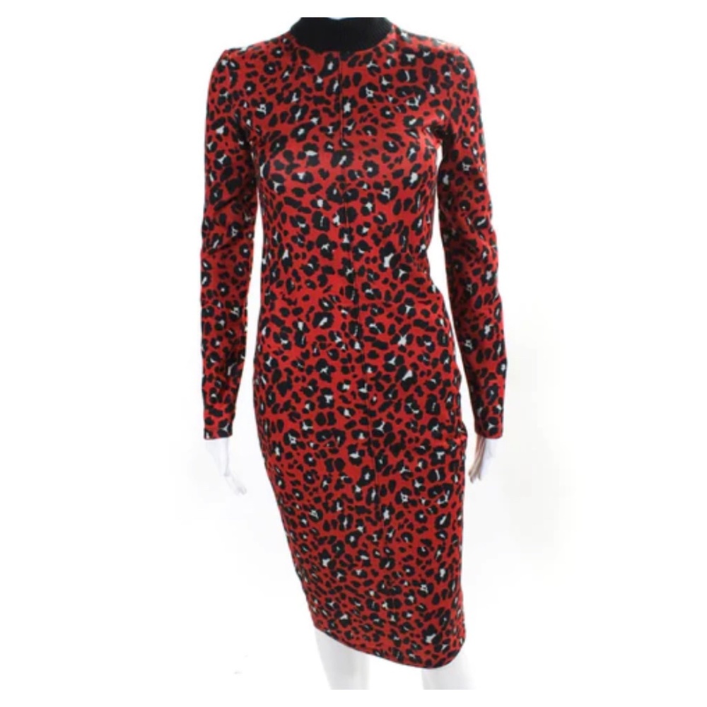Zara Leopard Animal Print Long Sleeve Turtleneck Dress